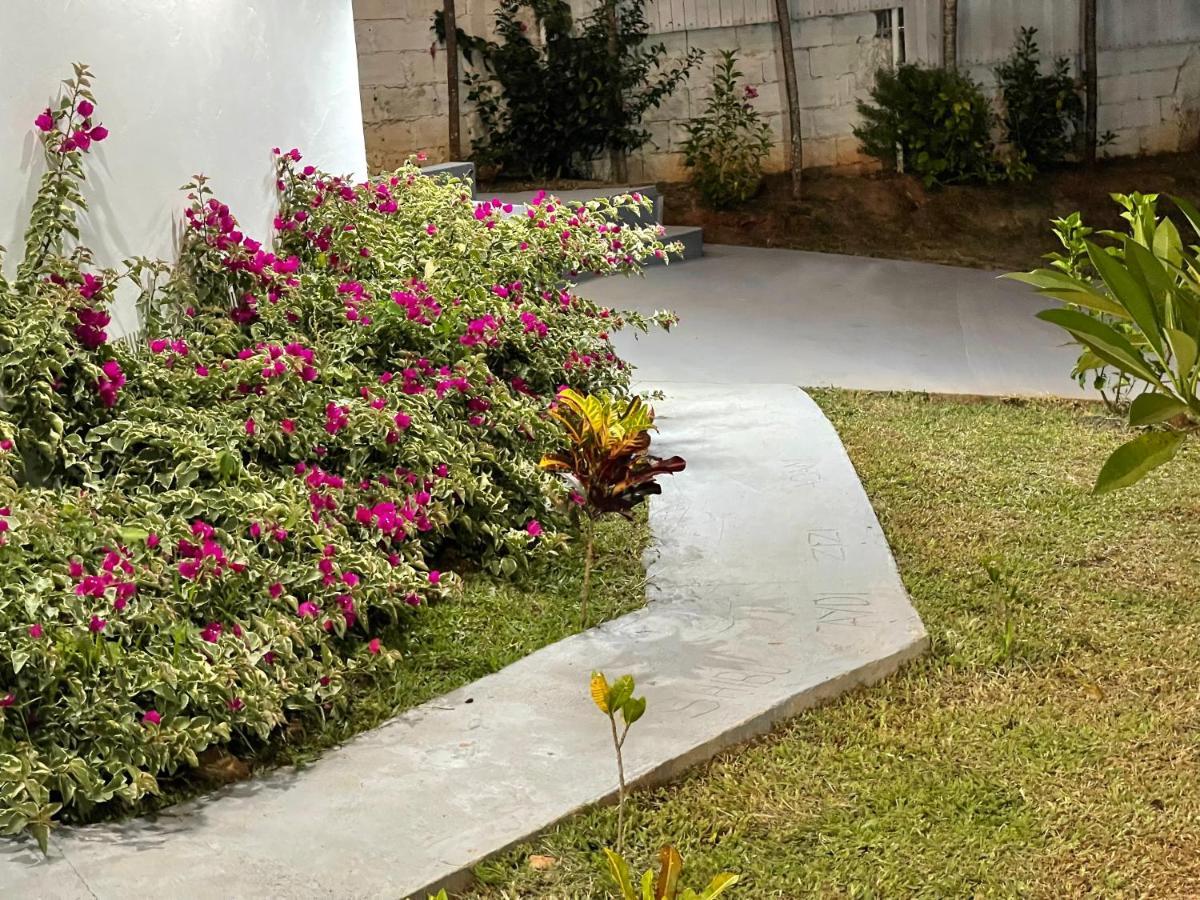 Aydiz Apartments Nadi Exterior photo